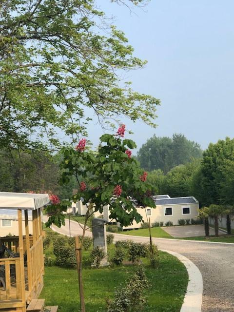 Domaine Du Blanc Pignon Hotel La Calotterie Ngoại thất bức ảnh